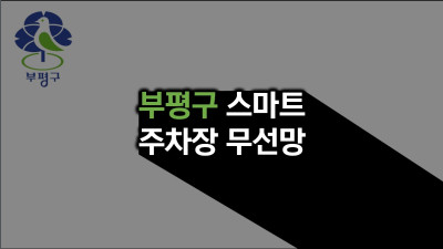 인천시 부평구 스마트주차장 AP 설치